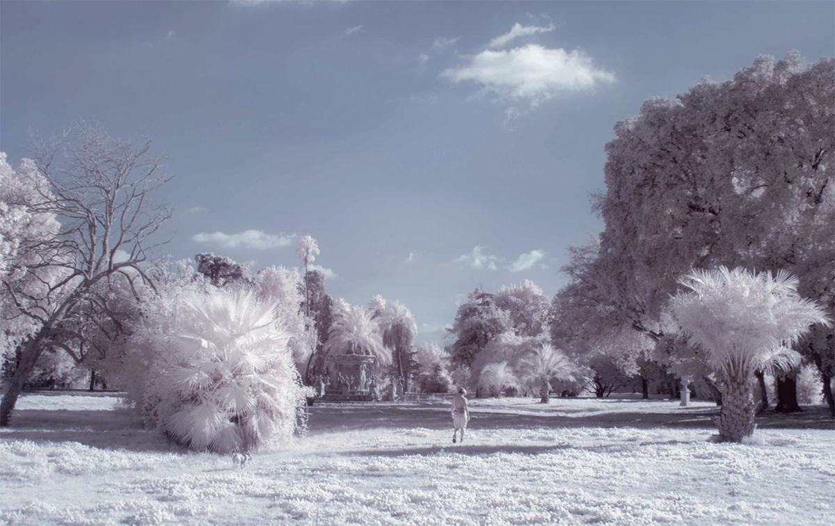 Schermata 2020-03-27 alle 18.40.59