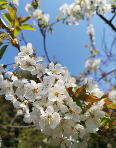 57426ae0-26ed-4582-be3e-bf021289f913